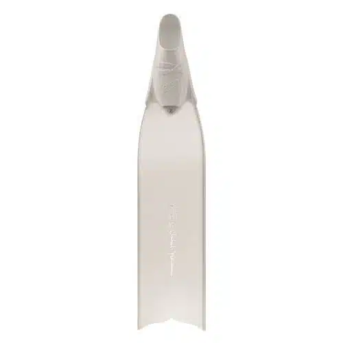 C4 Umberto Pelizzari FBG - Imagen 2