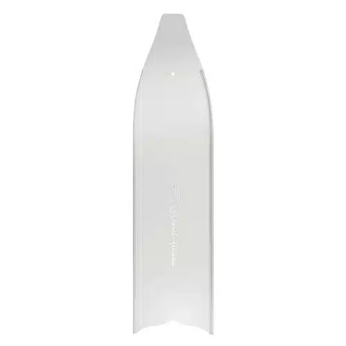 C4 Umberto Pelizzari FBG - Imagen 2