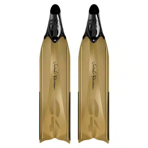 C4 Umberto Pelizzari - Imagen 6